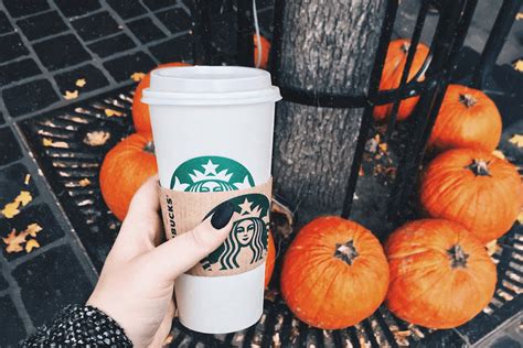 A Glimpse into Starbucks' Witch Brew Pop-Up Experience